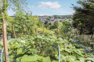 VIEWS FROM VEGETABLE GARDEN- click for photo gallery